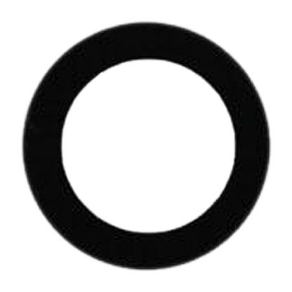 Back Camera Lens for iPad 9.7 (2017 / 2018)